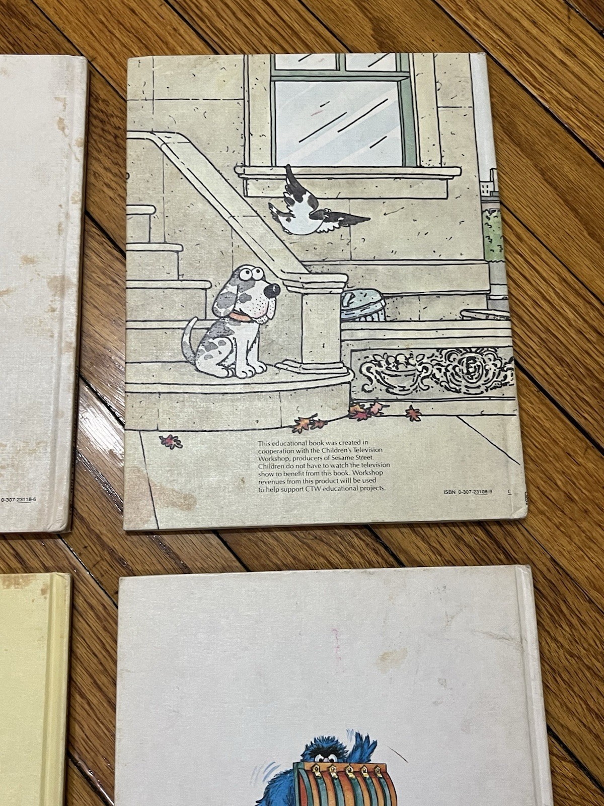 Foto 7 di 16