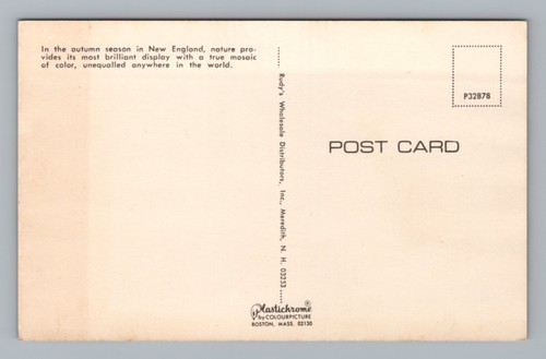 New England Autumn Colors Scenic Log Cabin Vintage Postcard - Bild 2 von 2