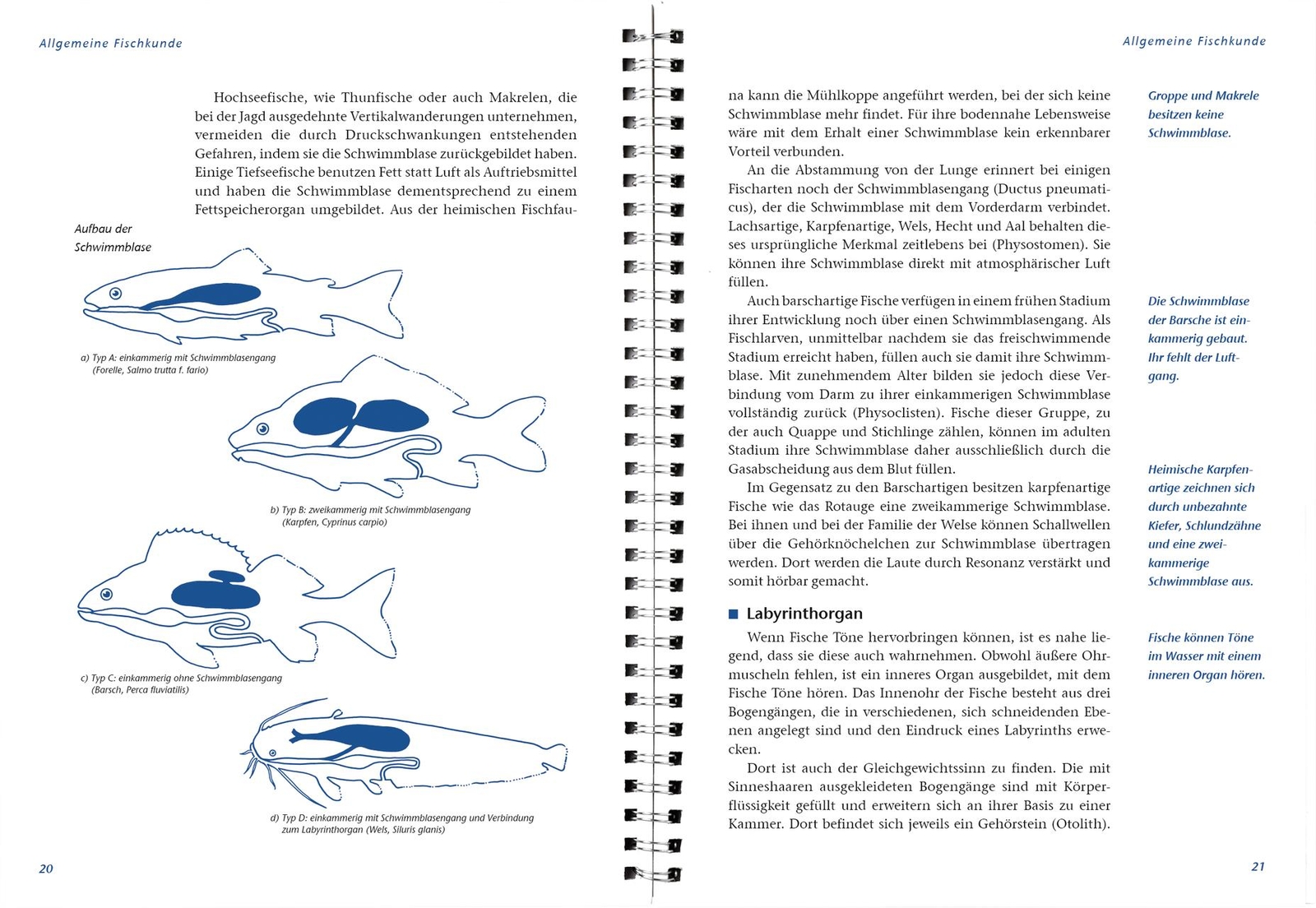 Thumbnail - Arbeitsbuch Fischerprüfung