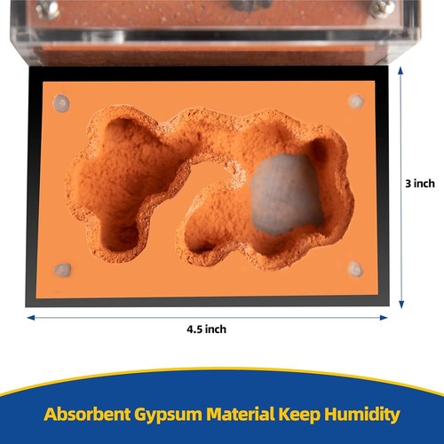 Ameisenfarm T 3D (Ameisen)(Ant farm, Formicarium, Ants) Ant Nest Ameisennest DE - Bild 7 von 10