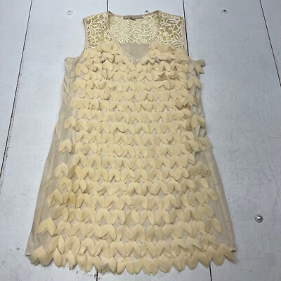 champagne and strawberry lace dress NWT Champagne and Strawberry Lace Dress Sz M Ivory Anthropology Women's Dress