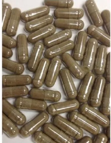 Ginger Root 540 mg x 90 capsules aussie seller