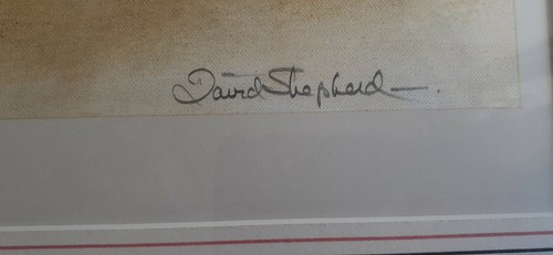David Shepherd "The East Somerset Railway Black Prince & The Green Knight..." - Imagen 8 de 10