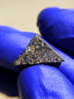 Fezzou 002 Angrite Meteorite 1.241g Part Slice Rare Achondrite w/ COA — photo 2