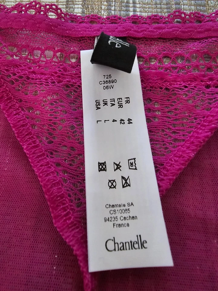 CHANTELLE C3689 FESTIVITE ENCAJE Calzoncillos Malla Transparente BIKINI CHEEKY Talla L Nuevo Foto 2 de 4