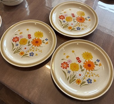 Fiesta プレート　セット　ビンテージ Lot Of 3 Vintage Montgomery Wards Fiesta Stoneware Plates 10.5