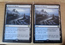 2x SHIPWRECK MARSH - Innistrad Remastered - MTG Rare #284