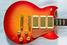 SG-700 Mod 3PU E-Gitarre Schlagbrett & Rod Cover Gebraucht