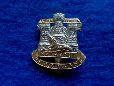 DEVONSHIRE & DORSET REGIMENT ANODISED STAYBRITE CAP BADGE, J.R. GAUNT B'HAM