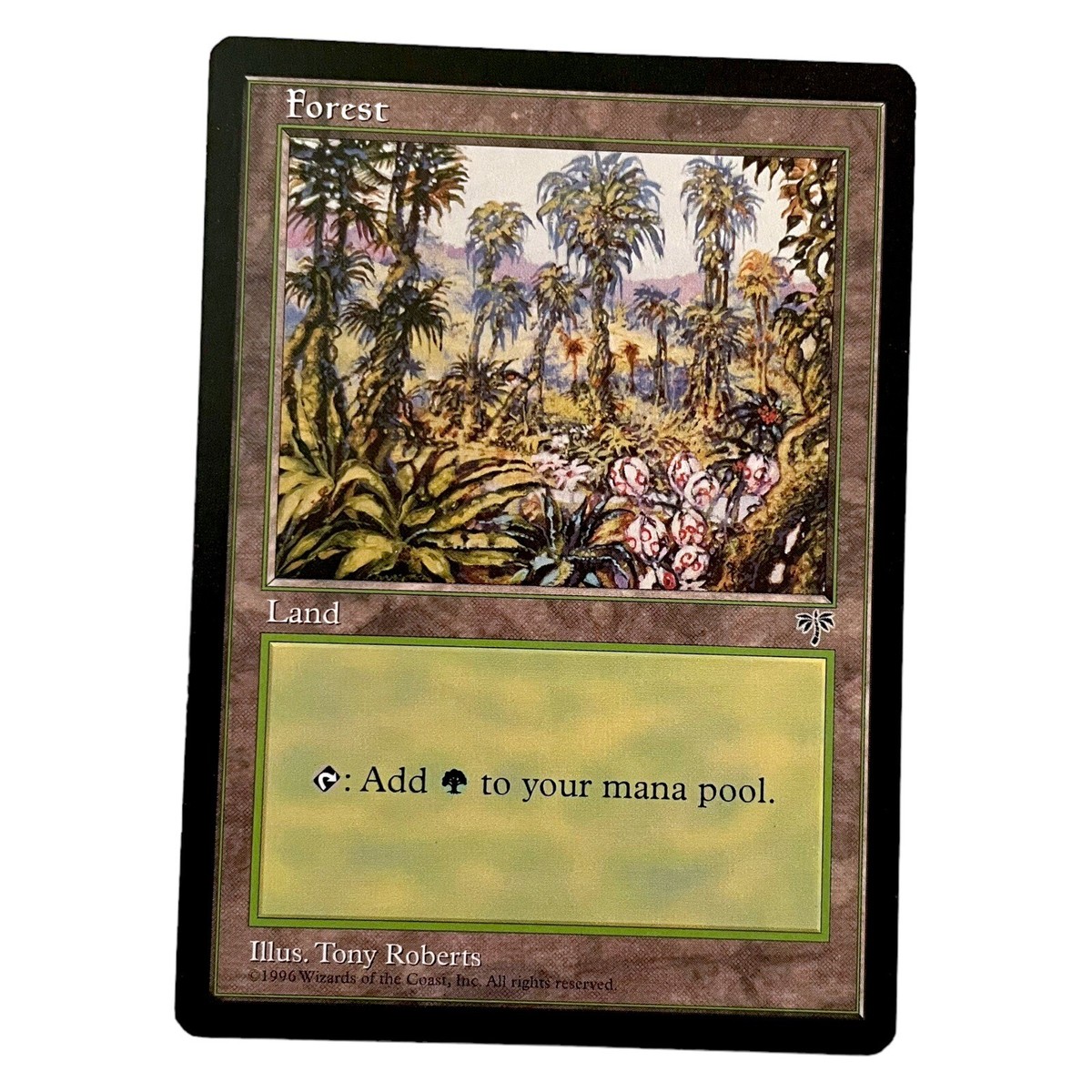 mtg resurrection cards Magic The Gathering Lorwyn Eclipsed Collector Booster Box – Trading Card  Market main image 1