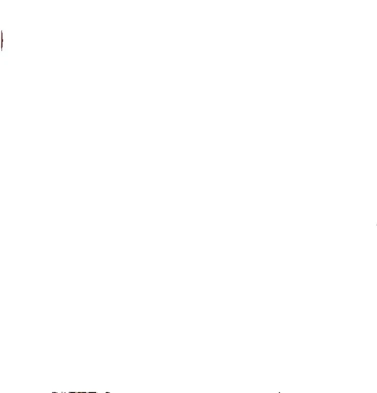 用于花卉和植物纸板拼图