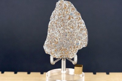 El Hassan Ould Hamed 002 L4 Meteorite 20.91g Full slice Fresh Fall Mauritania S4