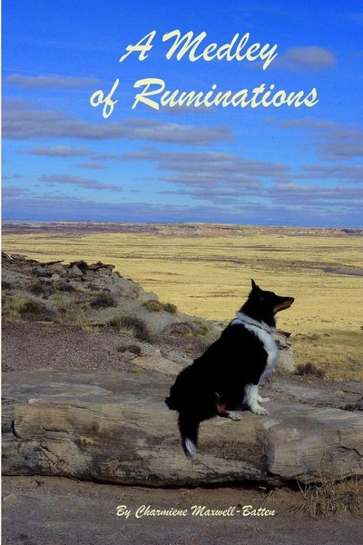 A Medley Of Ruminations Charmiene Maxwell-Batten Taschenbuch Englisch 2011-image