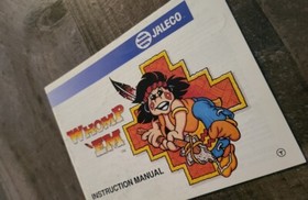 Whomp 'Em Nintendo Nintendo NES Manual Only