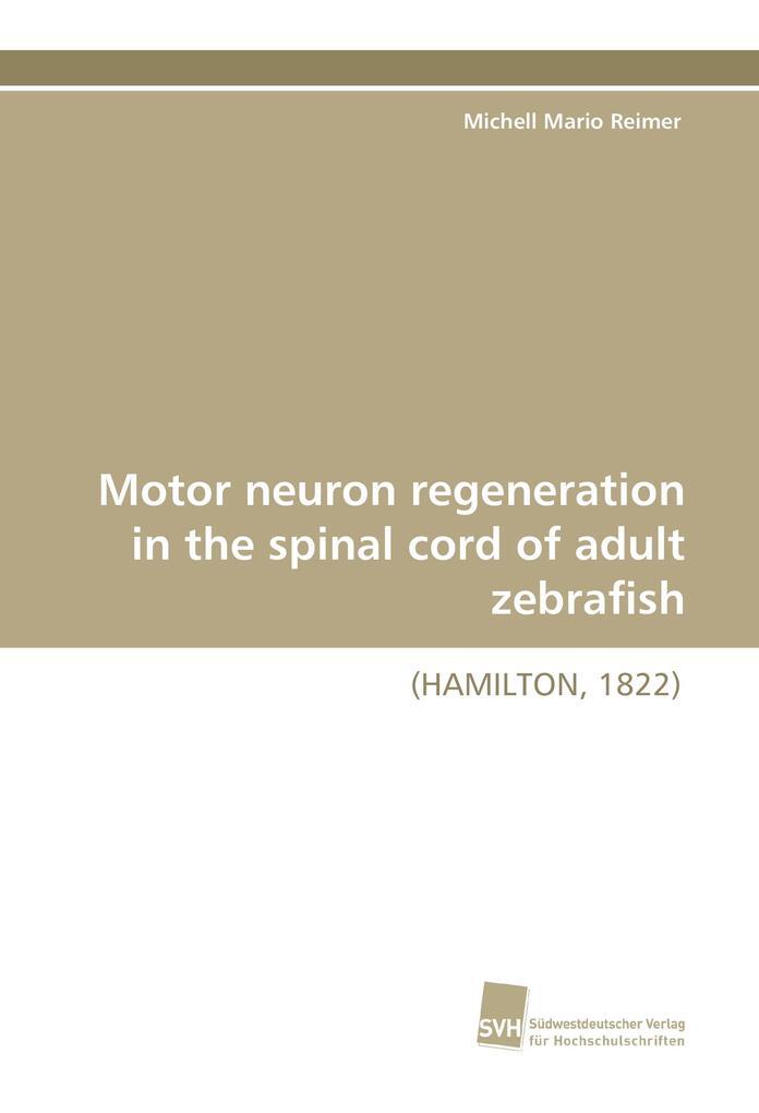 Motor Neuron Regeneration In The Spinal Cord Of Adult Zebrafish | 2010