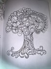 Picture 5 of 24