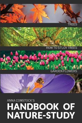 Thumbnail - Anna B Comstock The Handbook Of Nature Study In Color - Trees And