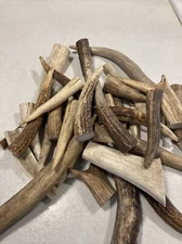 elk antler tines