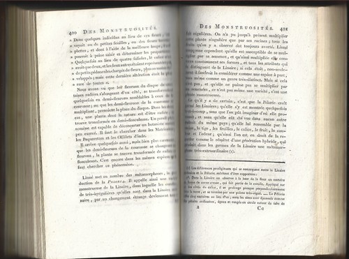 BOTANIQUE Introduction à l'Étude Fruits Algues par J.-C. PHILIBERT AN X 1802 T.2 - Imagen 18 de 24