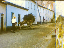 8mm Film 1963 Sao Miguel Island Azores 1960s Home Movie City Coast Village