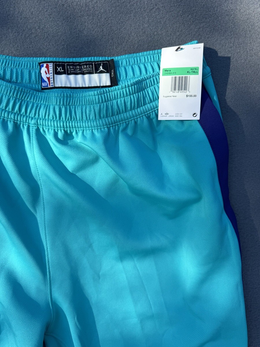 Jordan シャーロット・ホーネッツ ウォームアップウェア Charlotte Hornets Jordan Icon Edition Swingman Jersey