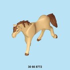 Bild 61 von 68