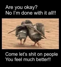 Funny pigeon refrigerator magnet 3 1/2x 4 1/2"