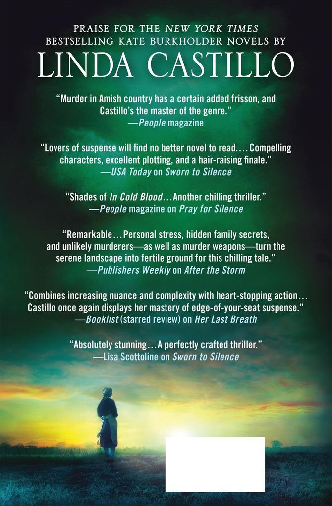 Thumbnail - Among The Wicked | Linda Castillo | 2017 | Englisch