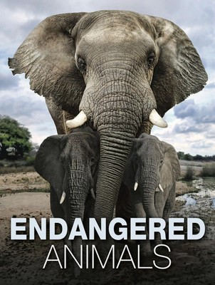 Tom Jackson | Endangered Animals | Buch | Englisch (2022) | Gebunden