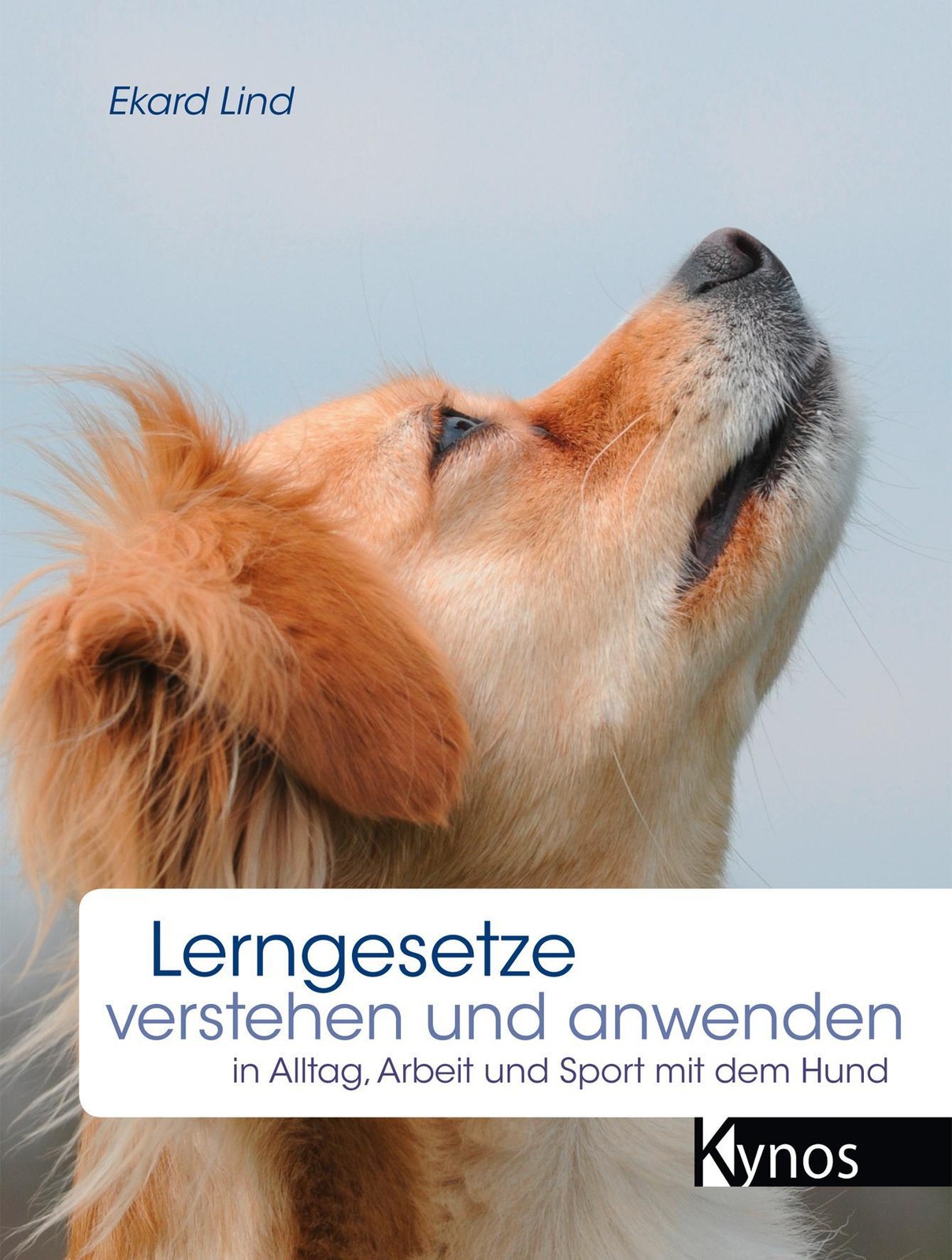Lerngesetze verstehen und anwenden Ekard Lind