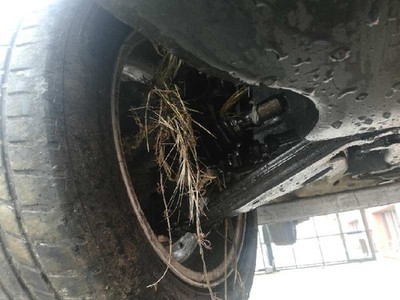 93176427 BREMSSATTEL VORN RECHTS / 1558126 FÜR OPEL ZAFIRA B COSMO 150 CV / 110