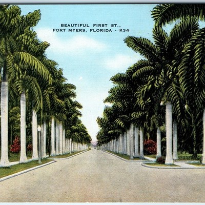 c1940s Fort Myers, FL First Street Royal Palm Trees Linen PC Thomas Edison A328