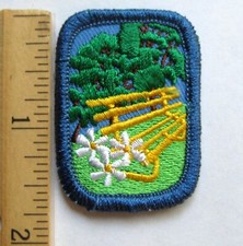 Girl Scout Senior 2009-2011 PARKS MATTER - IP Studio 2B Badge Focus Patch Award