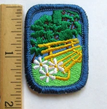 Girl Scout Senior 2009-2011 PARKS MATTER - IP Studio 2B Badge Focus Patch Award