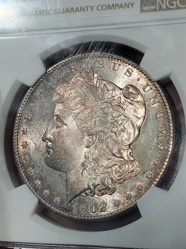 1902 0 $1 Morgan Dollar NGC MS65 Toned