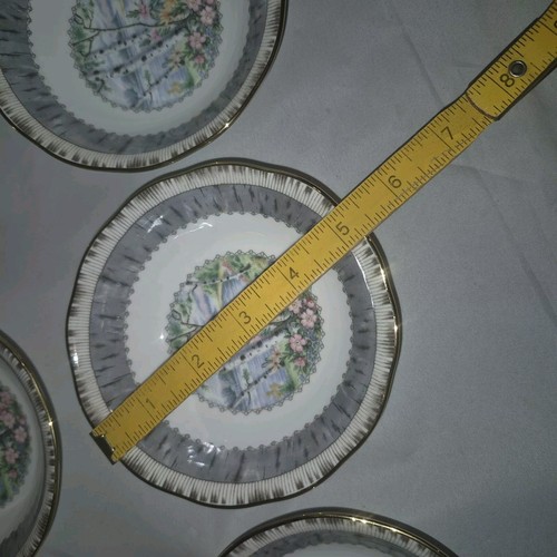 6X Fruit / Dessert bowl New Royal Albert Silver Birch Mint NOS new label still - Picture 5 of 5