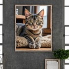 Zdjęcie 6 z 12