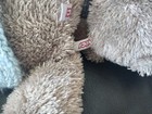 Foto 3 di 8