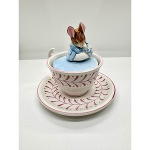 Tailor of Gloucester Beatrix Potter | eBay