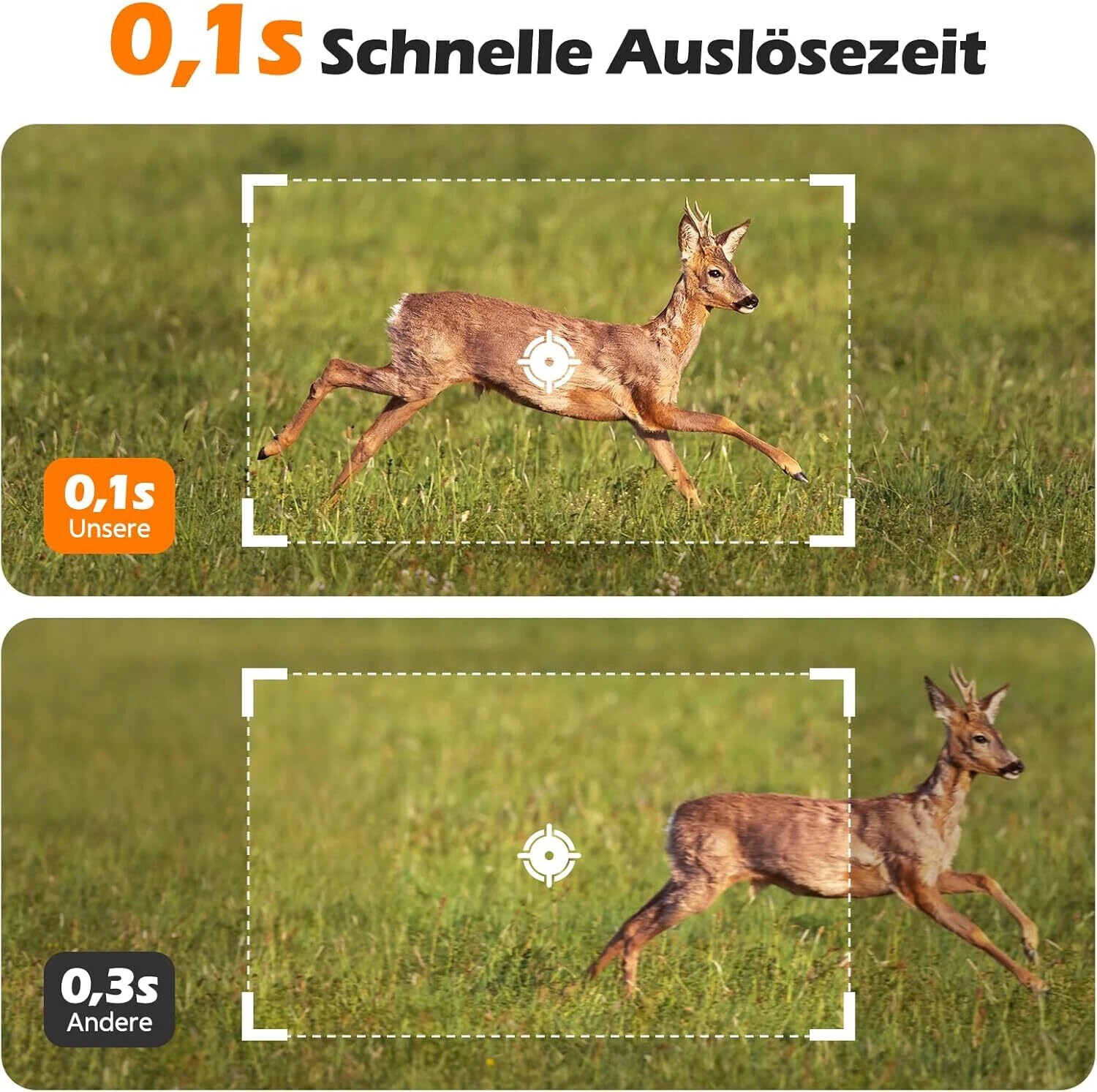 Bild 7 von 7