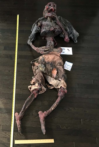 Star Trek Original Prop Xindi Burned Corpse Paramount Television Enterprise COA