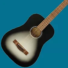 Fender Acoustic Guitars
