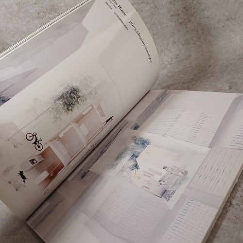 JA 66 Towards a New Architecturescape Ryue Nishizawa SouFujimoto GoHasegawaJapan - Picture 12 of 24