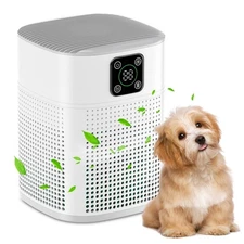Smart HEPA Air Purifier for Large Rooms Fast Shipping