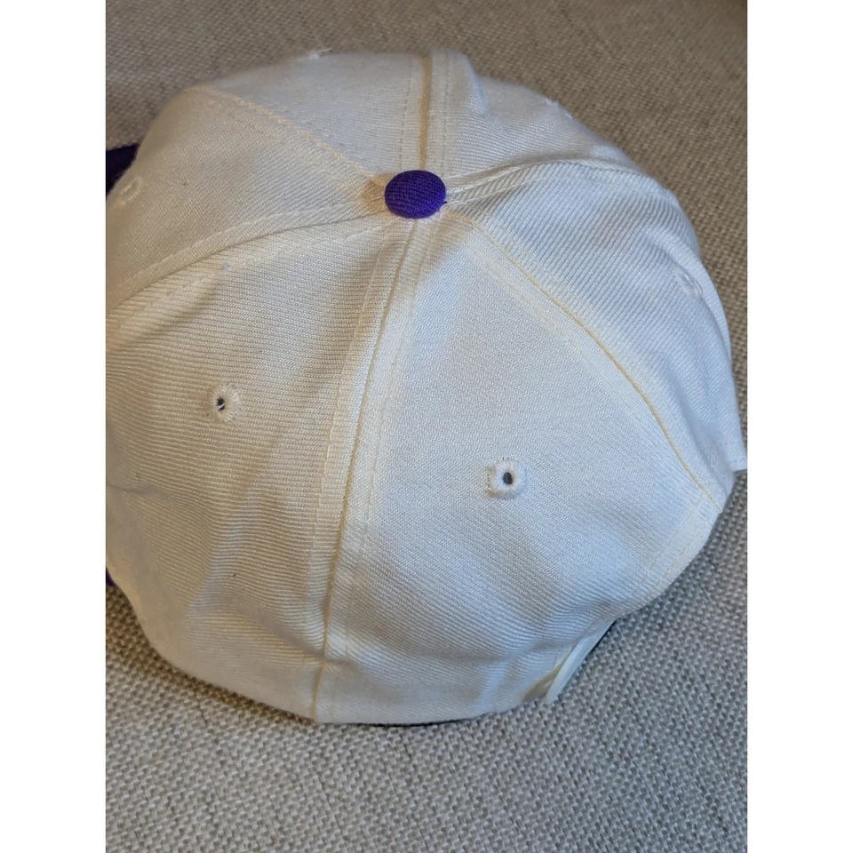 Vintage Arizona Diamondbacks Twin Enterprises Wool Mix Snapback Cap Hat - Image 4 of 4