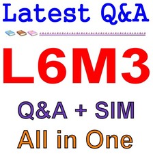 L6M3 Global Strategic Supply Chain Management Exam Q A