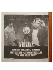 Nirvana Poster Flat 2 Sided