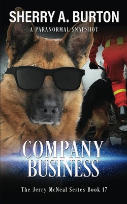 Company Business: Book 17 in The Jerry McNeal Series