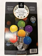 Members Mark 8 Function LED Frosted Berry Lights 120 Count Multi Colored Xmas