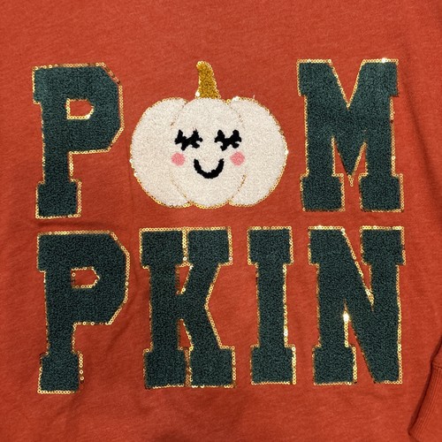 Anneliese Size 2X Sweatshirt Long Sleeve Pumpkin Graphic Women's Top NEW - Picture 3 of 8